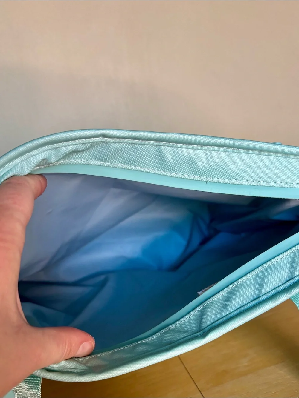 Hydro Flask Aqua Blue Insulated Tote